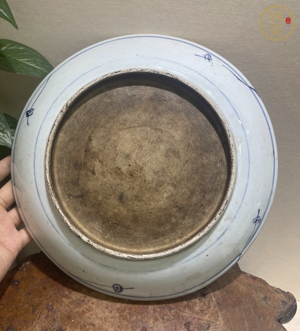 古玩陶瓷青花釉里紅飄帶繡球獅子紋盤真品鑒賞圖