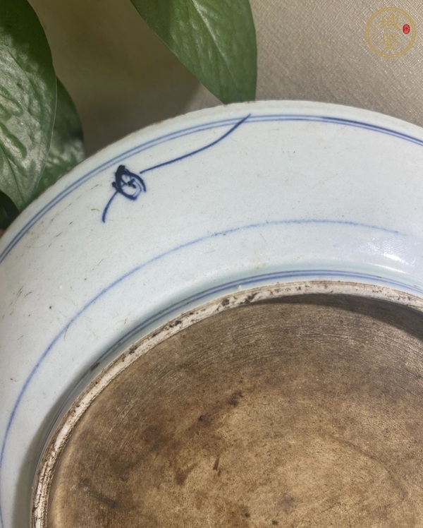 古玩陶瓷青花釉里紅飄帶繡球獅子紋盤真品鑒賞圖