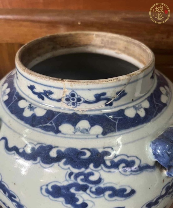 古玩陶瓷青花龍紋獅耳罐真品鑒賞圖