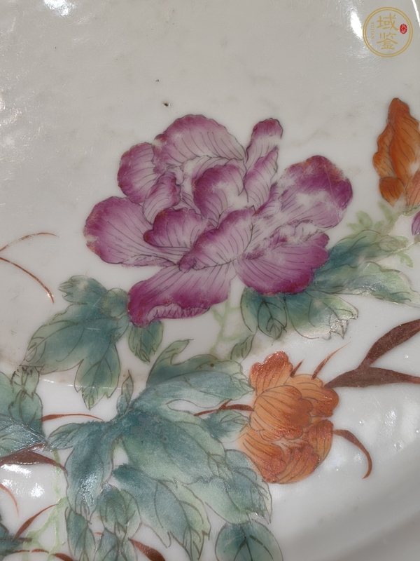 古玩陶瓷花鳥紋粉彩盤真品鑒賞圖