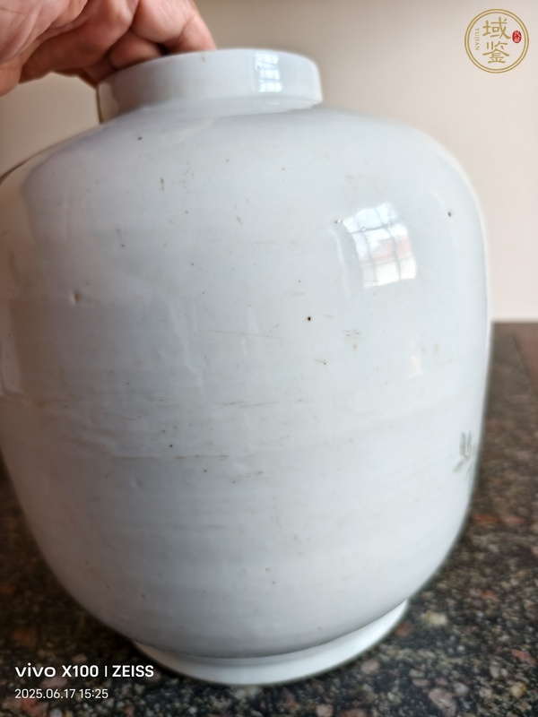 古玩花卉紋粉彩罐真品鑒賞圖