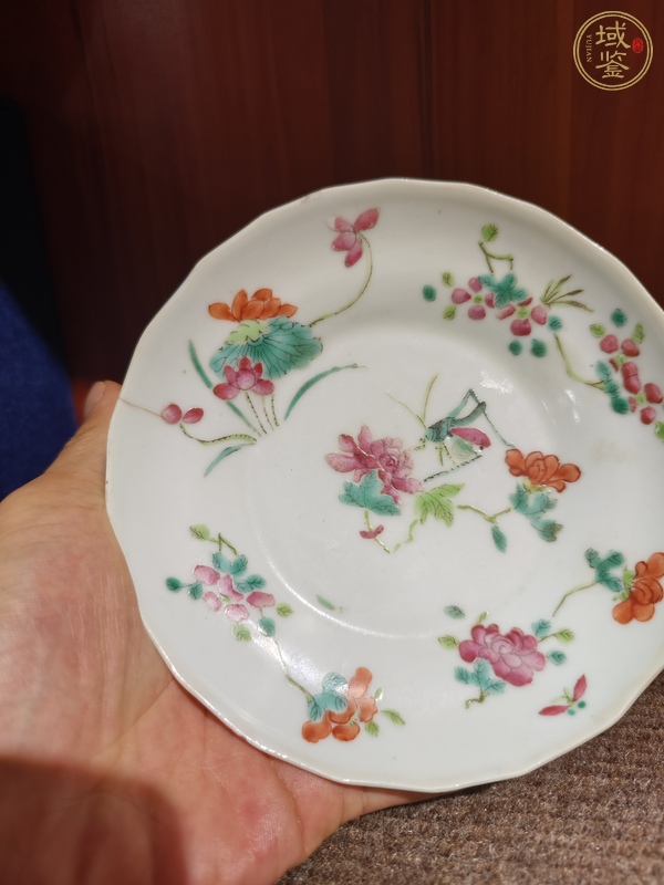 古玩陶瓷粉彩飛黃騰達花口蝶真品鑒賞圖