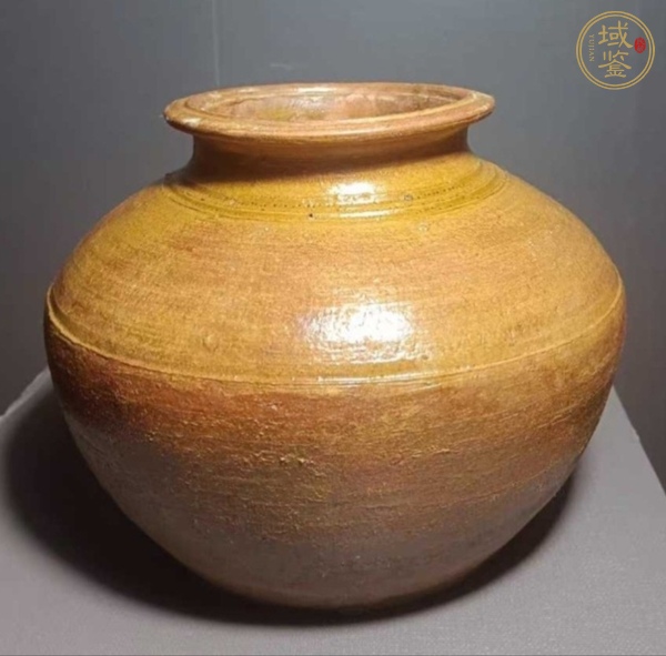 古玩陶瓷罐真品鑒賞圖