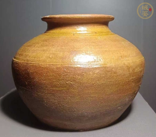 古玩陶瓷罐真品鑒賞圖