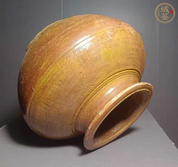 古玩陶瓷罐真品鑒賞圖