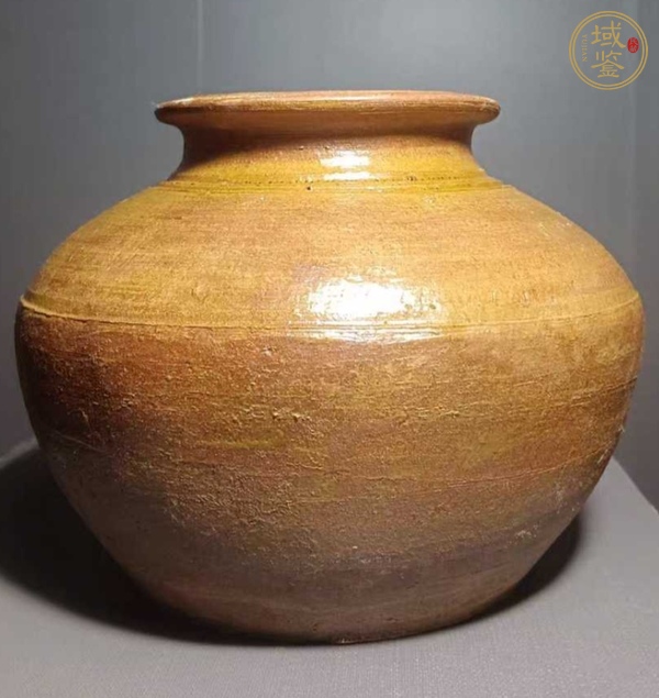 古玩陶瓷罐真品鑒賞圖