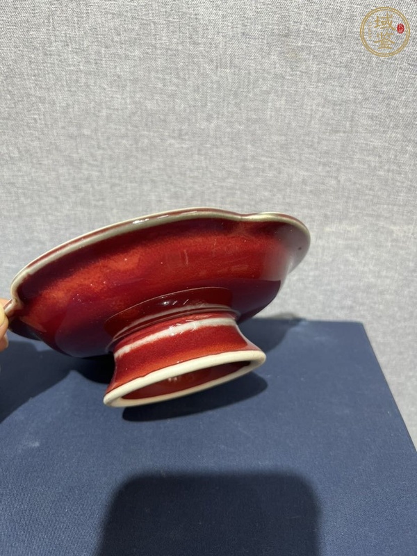 古玩陶瓷郎紅釉花口高足盤真品鑒賞圖