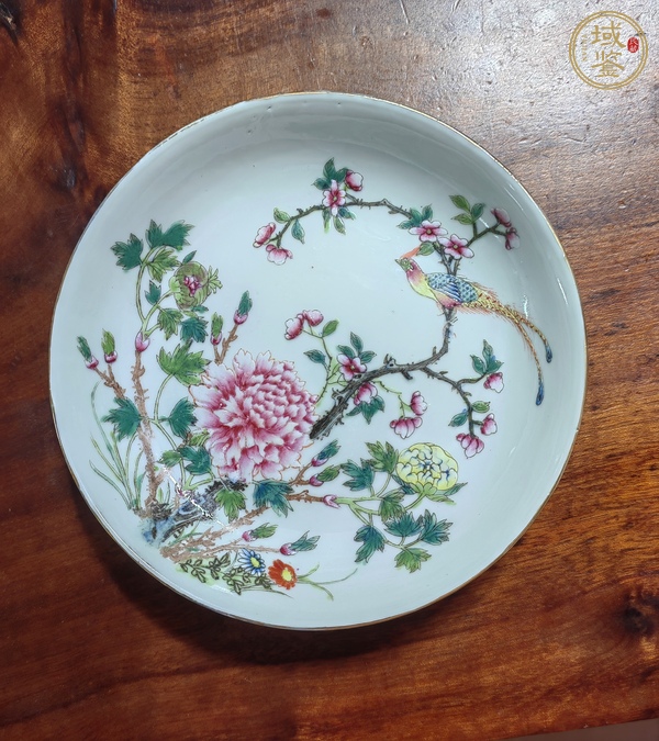 古玩陶瓷粉彩雉雞牡丹圖盤真品鑒賞圖