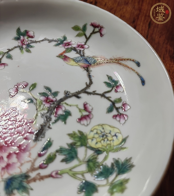 古玩陶瓷粉彩雉雞牡丹圖盤真品鑒賞圖