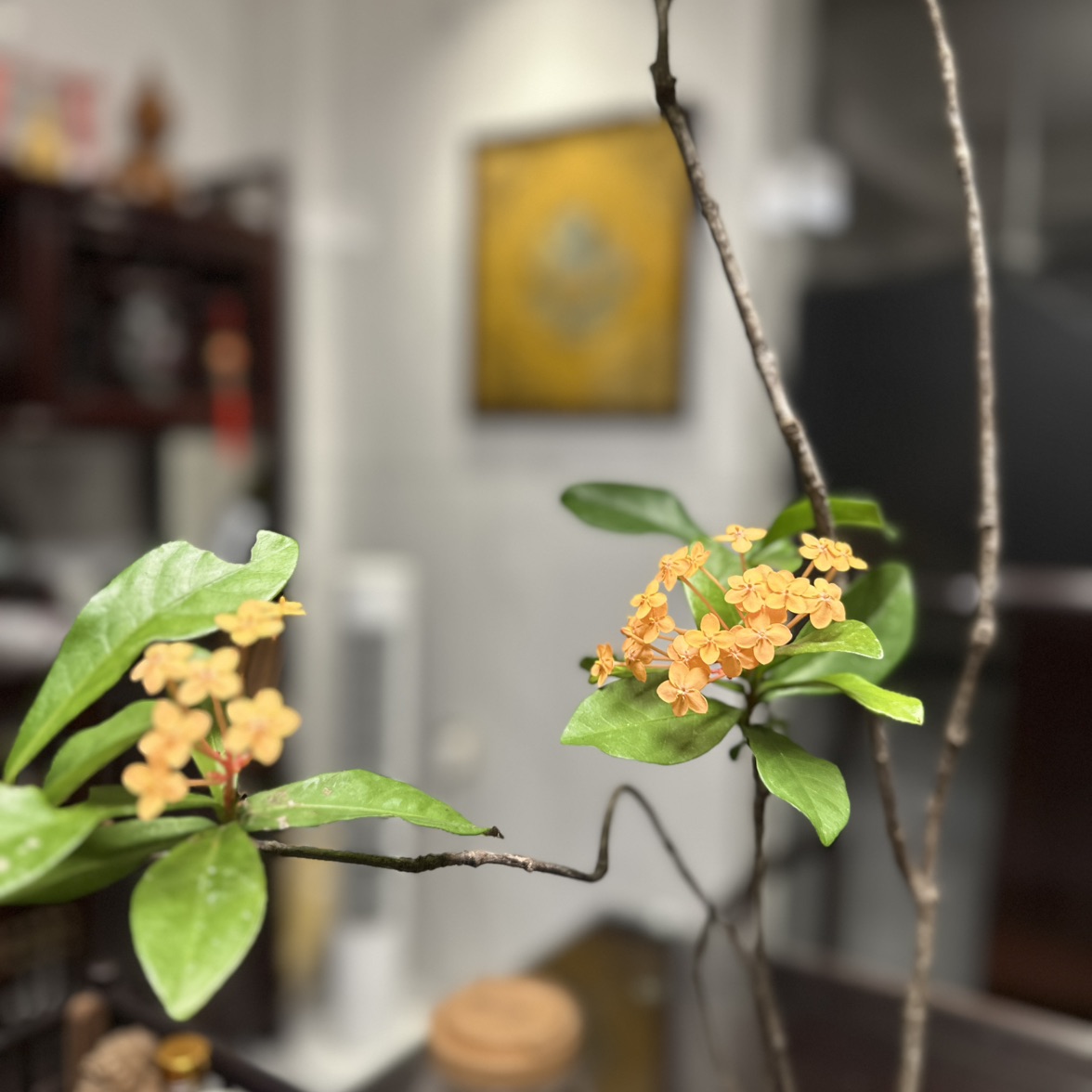 域鑒靜候風雅的店鋪