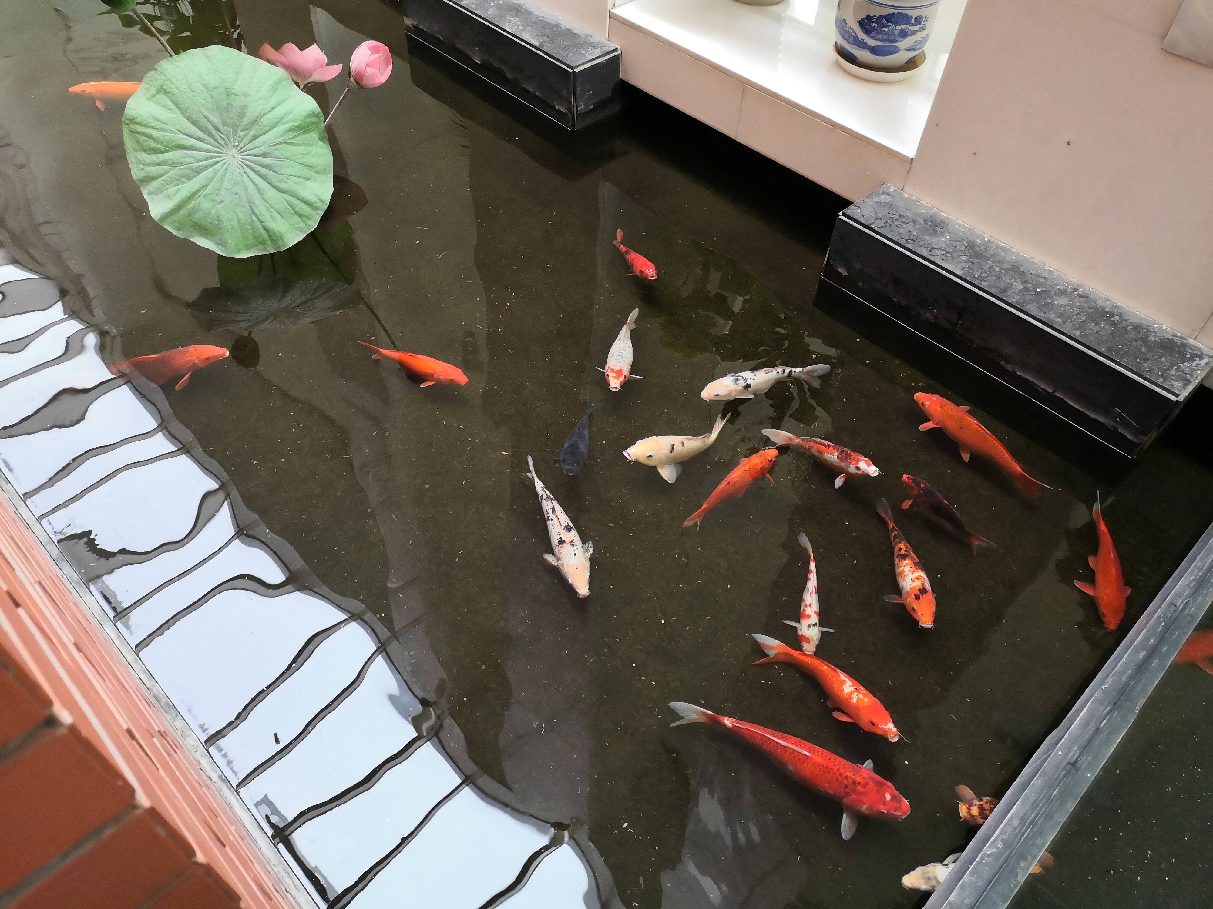 域鑒瀟瀟雨歇的店鋪