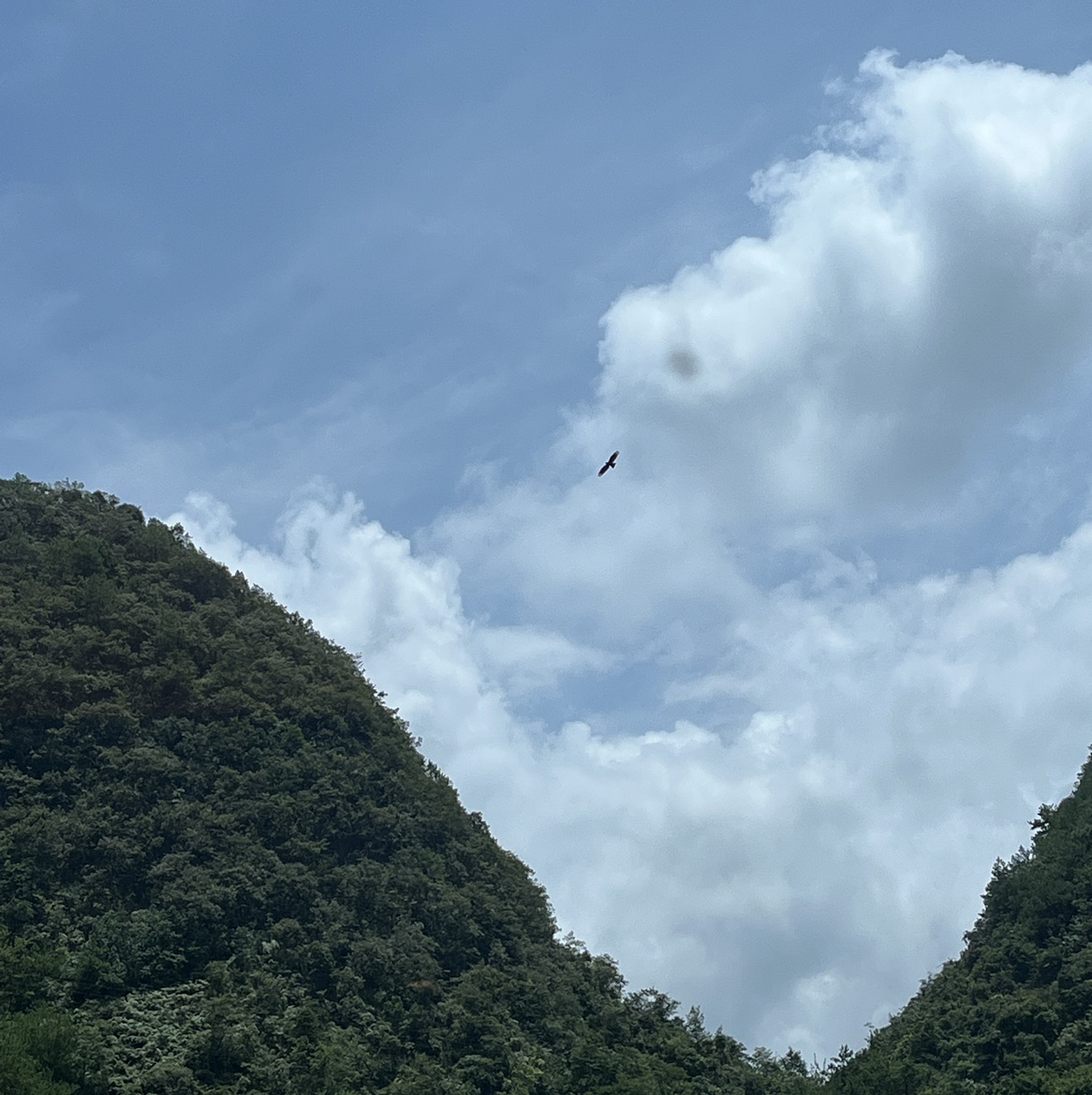域鑒Y念瓷庵Y的店鋪