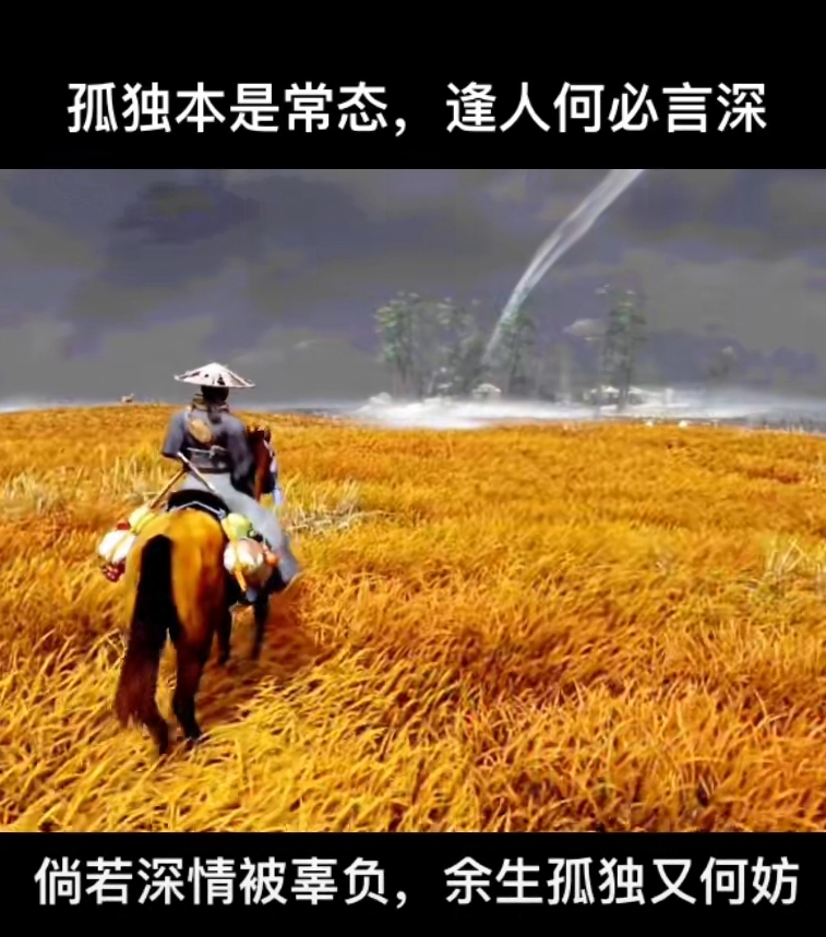 域鑒YJ-9067的店鋪