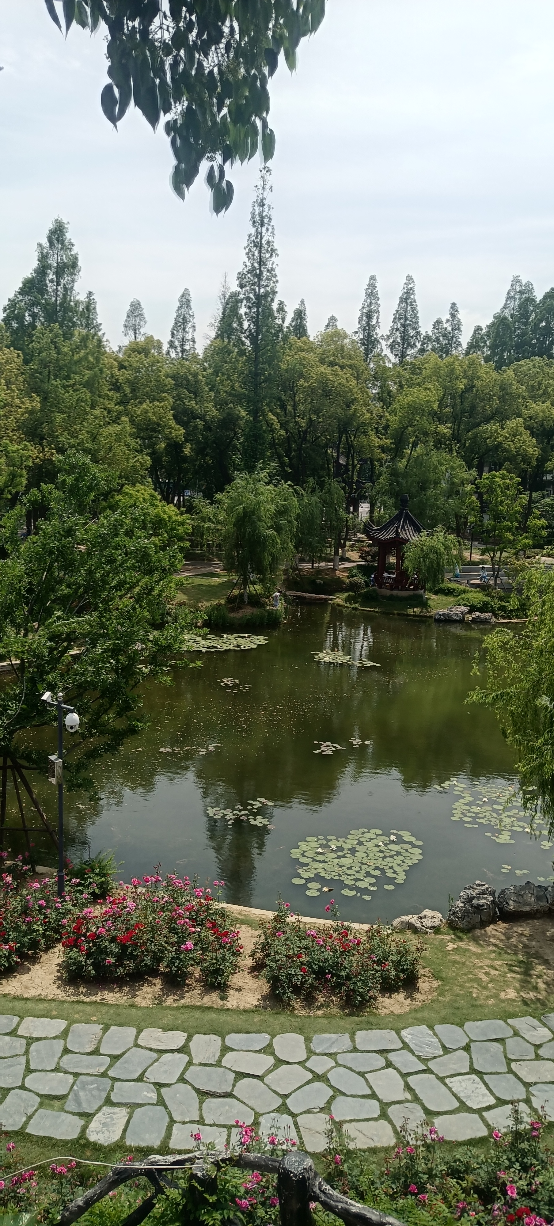 域鑒御用的店鋪