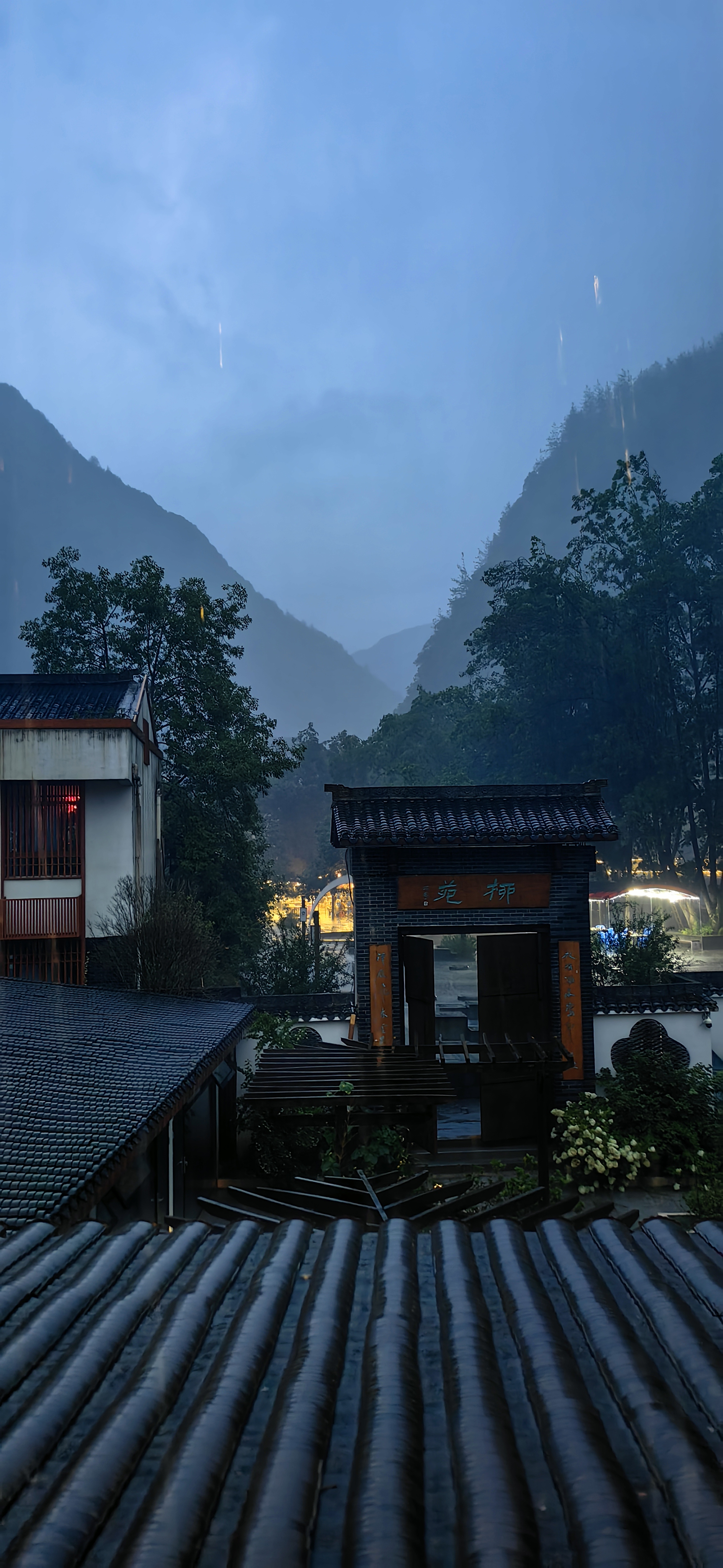 域鑒只玩真老瓷器的店鋪