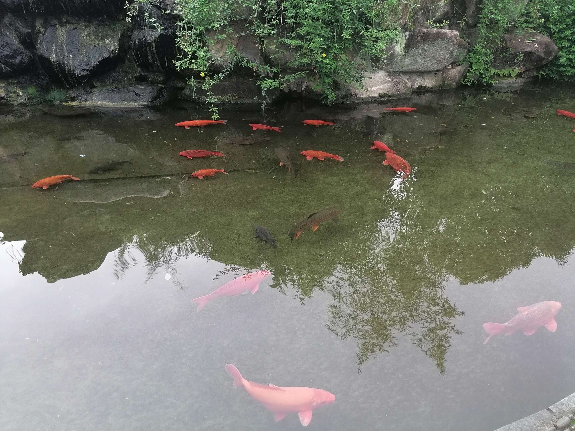 域鑒金沐灶的店鋪