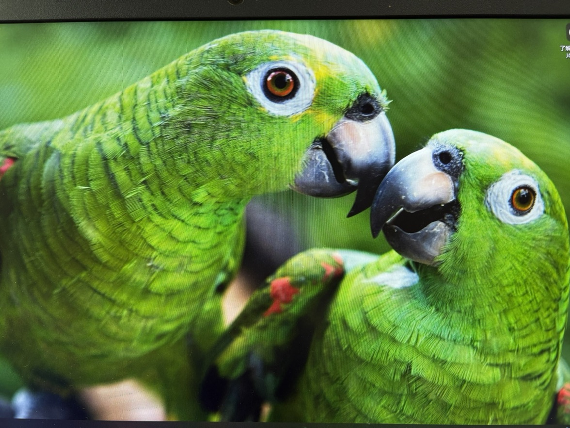 域鑒老器橫秋的店鋪