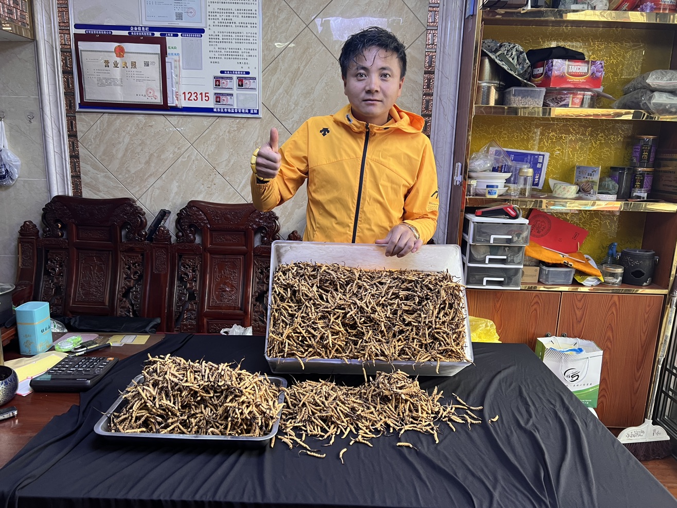 域鑒藏之驕冬蟲夏草 1363975****(濤)的店鋪