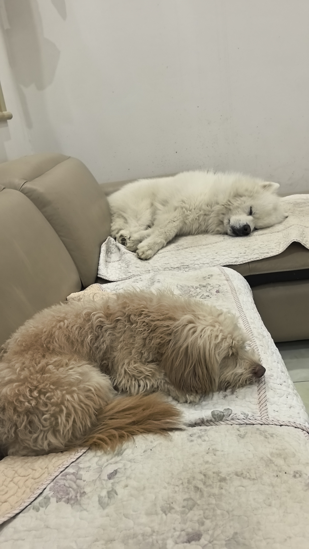 域鑒Ysaiguci的店鋪