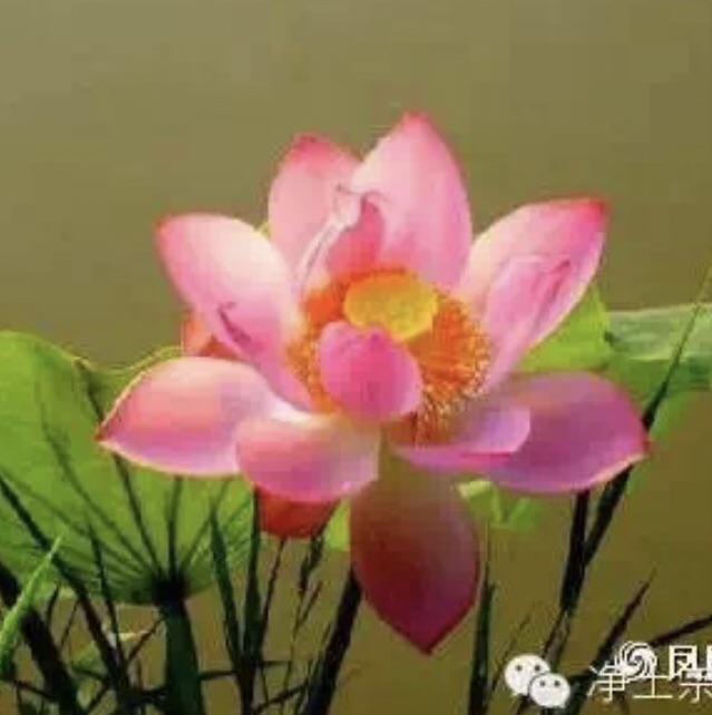 域鑒室雅幽蘭臻品的店鋪